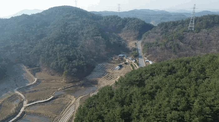 충청남도 태안군 이원면 포지리 425-2 임야 경매 사진 4