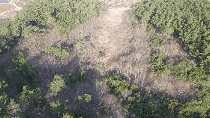 충청남도 태안군 이원면 포지리 425-2 임야 경매 사진 5