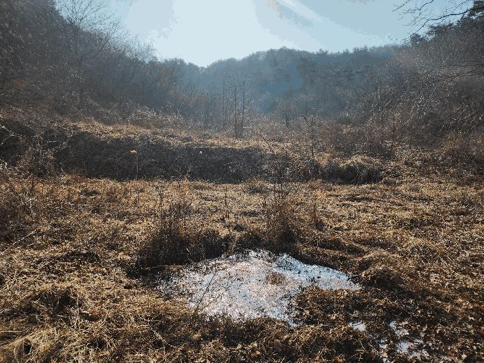 충청남도 태안군 이원면 포지리 425-2 임야 경매 사진 7