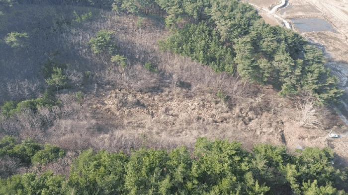 충청남도 태안군 이원면 포지리 425-2 임야 경매 사진 9