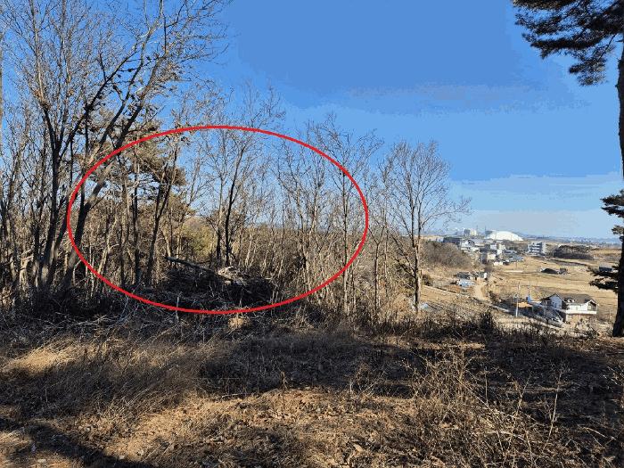 충청남도 당진시 석문면 장고항리 158 임야 경매 사진 10