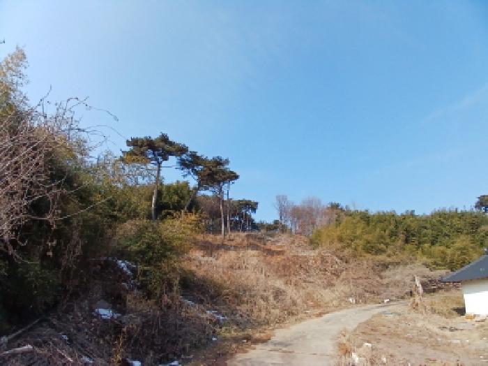 충청남도 당진시 석문면 장고항리 158 임야 경매 사진 12