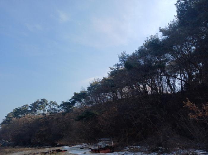 충청남도 당진시 석문면 장고항리 158 임야 경매 사진 13