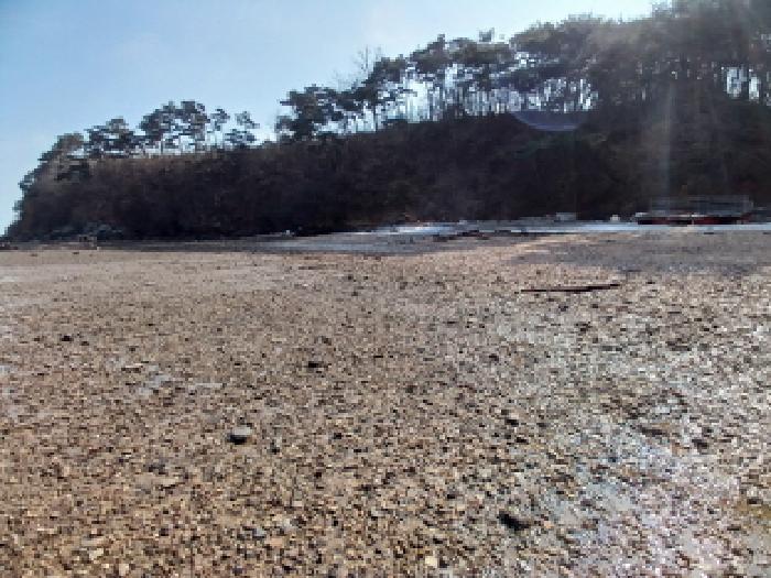 충청남도 당진시 석문면 장고항리 158 임야 경매 사진 17