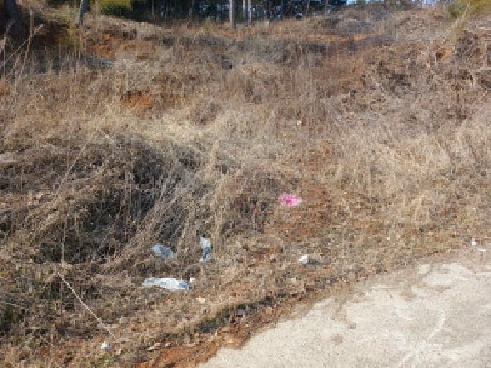 충청남도 당진시 석문면 장고항리 158 임야 경매 사진 18