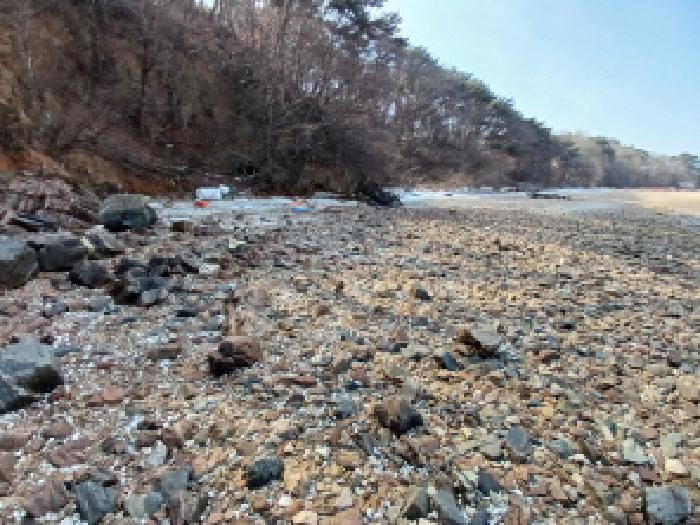 충청남도 당진시 석문면 장고항리 158 임야 경매 사진 19