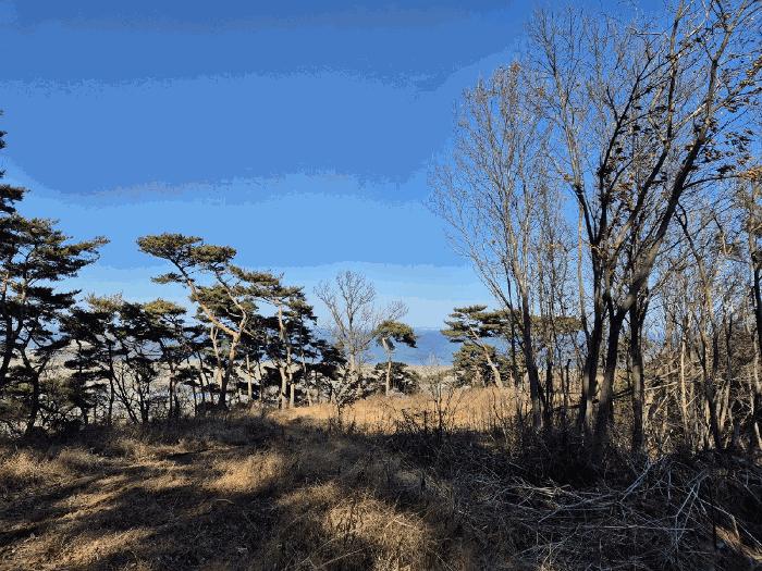 충청남도 당진시 석문면 장고항리 158 임야 경매 사진 2