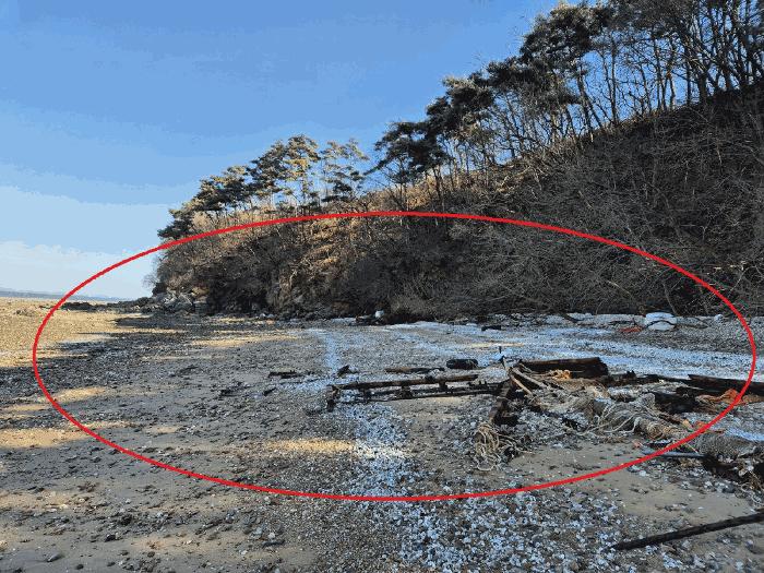 충청남도 당진시 석문면 장고항리 158 임야 경매 사진 3