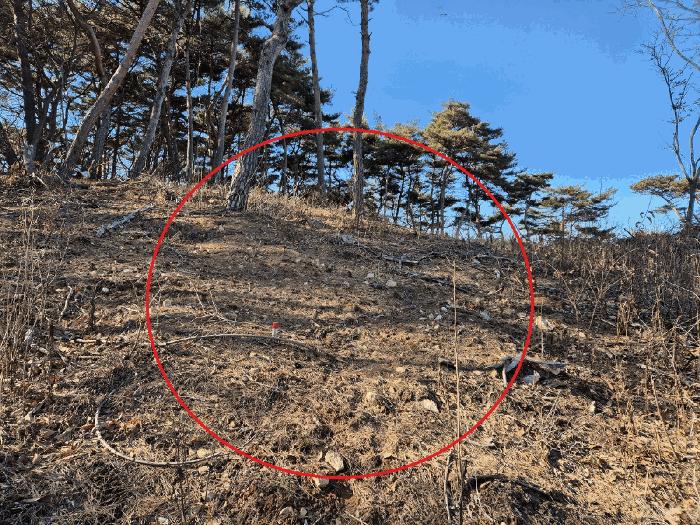 충청남도 당진시 석문면 장고항리 158 임야 경매 사진 4