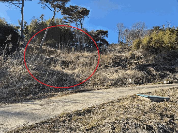 충청남도 당진시 석문면 장고항리 158 임야 경매 사진 5