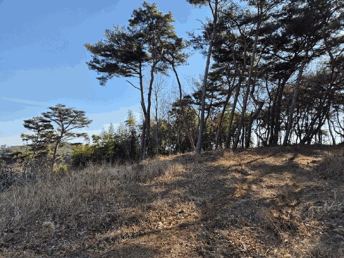 충청남도 당진시 석문면 장고항리 158 임야 경매 사진 6