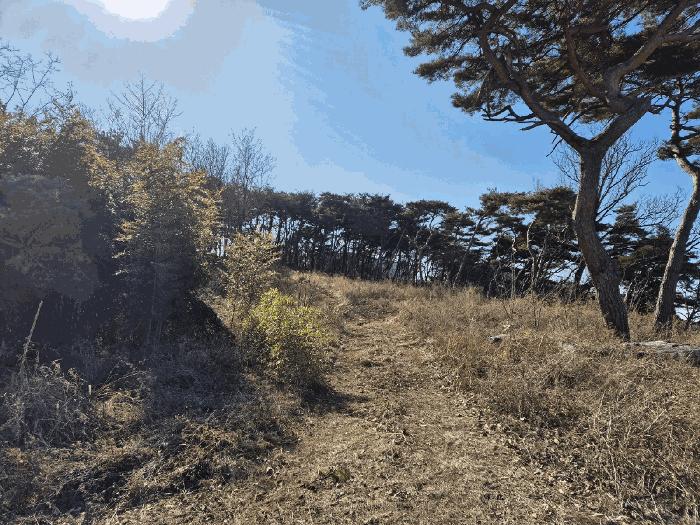 충청남도 당진시 석문면 장고항리 158 임야 경매 사진 7