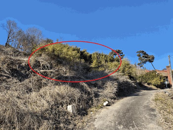 충청남도 당진시 석문면 장고항리 158 임야 경매 사진 8