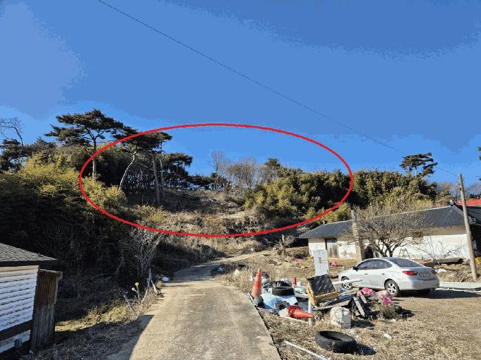 충청남도 당진시 석문면 장고항리 158 임야 경매 사진 9