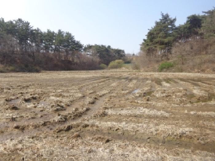충청남도 태안군 태안읍 도내리 18 답 경매 사진 10