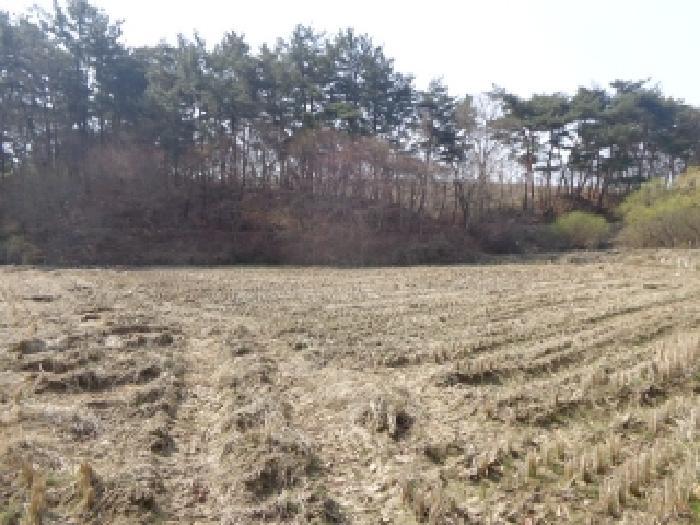 충청남도 태안군 태안읍 도내리 18 답 경매 사진 11