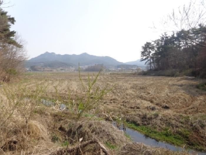 충청남도 태안군 태안읍 도내리 18 답 경매 사진 12