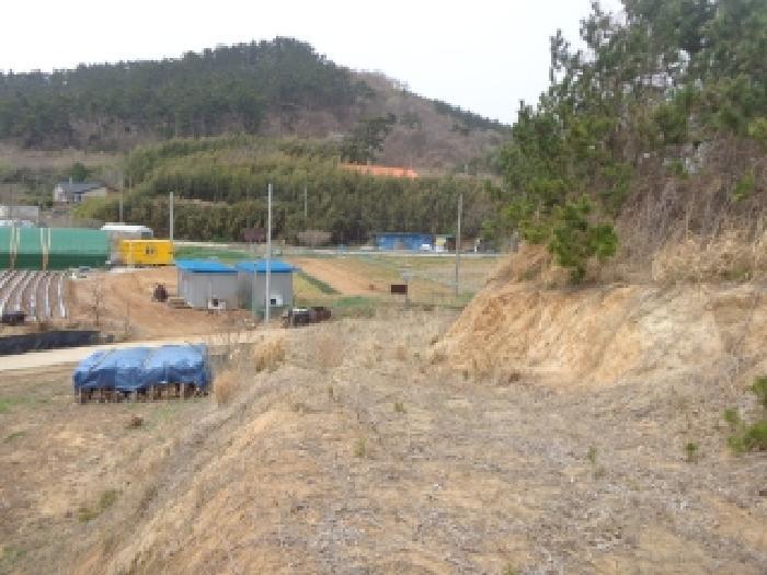 충청남도 태안군 이원면 내리 666-5 임야 경매 사진 8