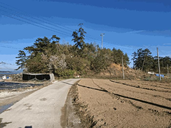 충청남도 태안군 이원면 내리 666-5 임야 경매 사진 4