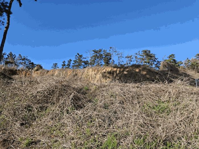 충청남도 태안군 이원면 내리 666-5 임야 경매 사진 6