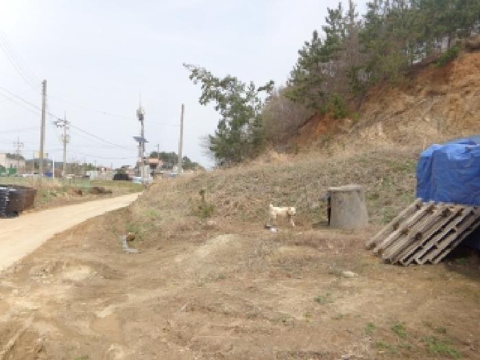 충청남도 태안군 이원면 내리 666-5 임야 경매 사진 7