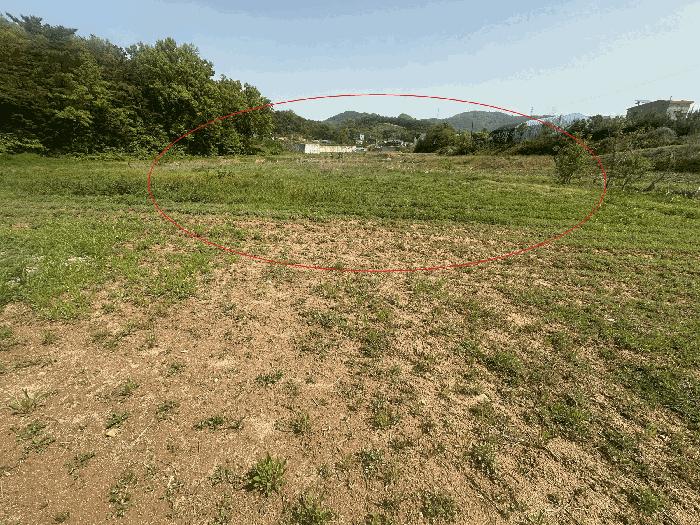 충청남도 당진시 면천면 성상리 1035-1 답 경매 사진 9