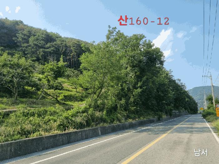 경상북도 청도군 청도읍 신도리 산160-1 임야 경매 사진 1