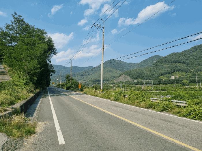 경상북도 청도군 청도읍 신도리 산160-1 임야 경매 사진 2