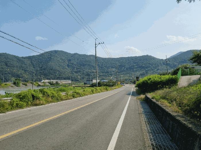 경상북도 청도군 청도읍 신도리 산160-1 임야 경매 사진 4