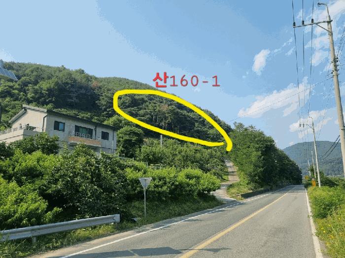 경상북도 청도군 청도읍 신도리 산160-1 임야 경매 사진 9