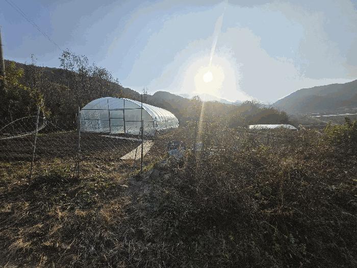 경상북도 고령군 개진면 오사리 산102-11 임야 경매 사진 11