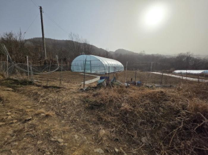 경상북도 고령군 개진면 오사리 산102-11 임야 경매 사진 18
