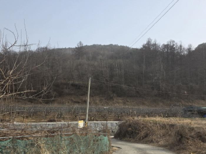 경상북도 고령군 개진면 오사리 산102-11 임야 경매 사진 19