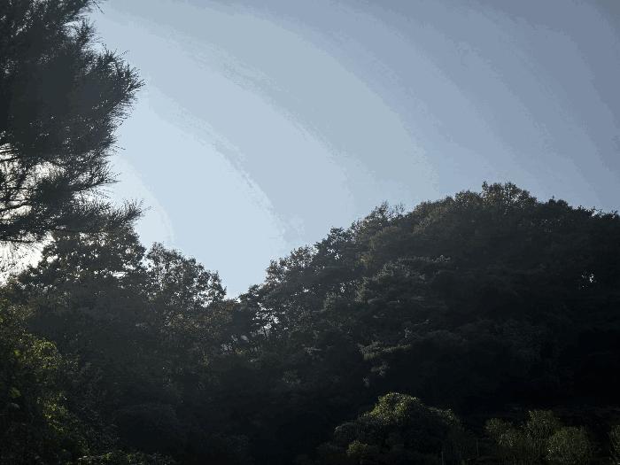경상북도 고령군 쌍림면 용리 산137 임야 경매 사진 10
