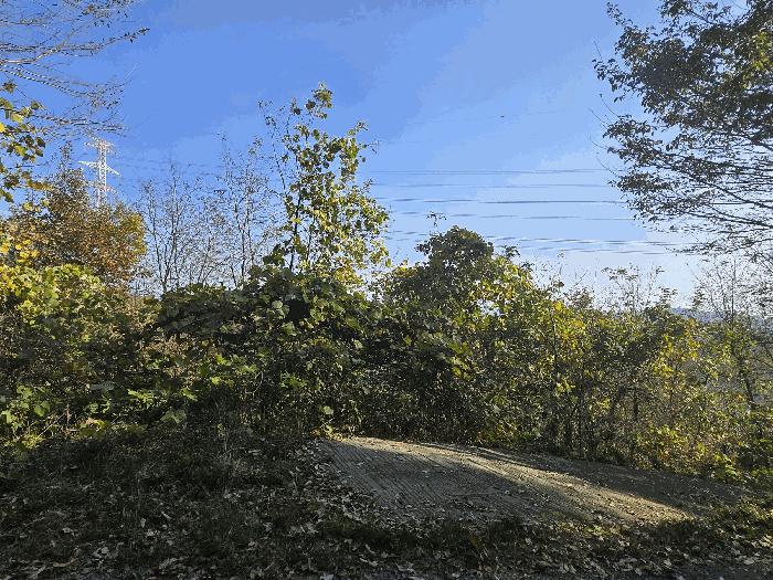 경상북도 성주군 가천면 동원리 671 전 경매 사진 1