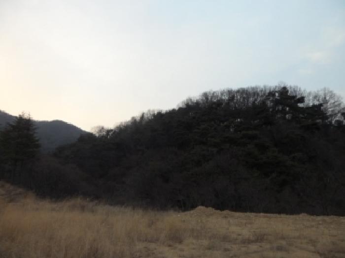 경상북도 성주군 가천면 동원리 671 전 경매 사진 16