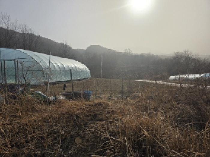 경상북도 성주군 가천면 동원리 671 전 경매 사진 17