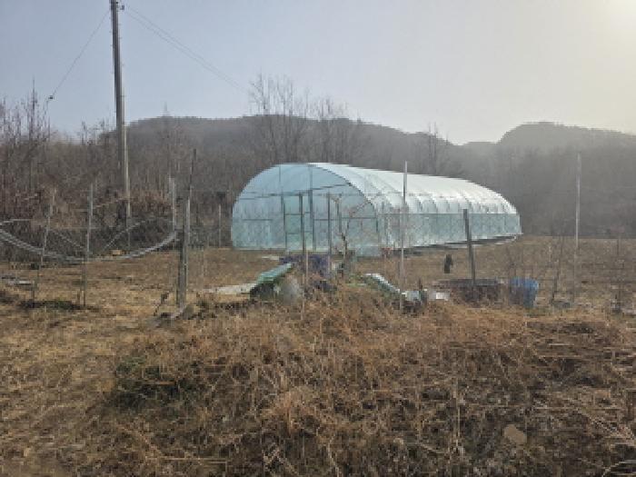 경상북도 성주군 가천면 동원리 671 전 경매 사진 23