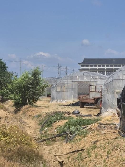 전라남도 나주시 산포면 내기리 563 답 경매 사진 18