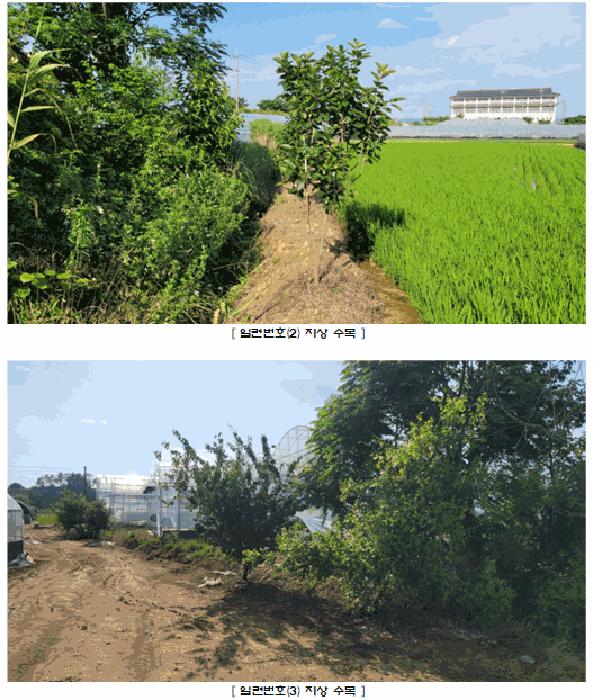 전라남도 나주시 산포면 내기리 563 답 경매 사진 5