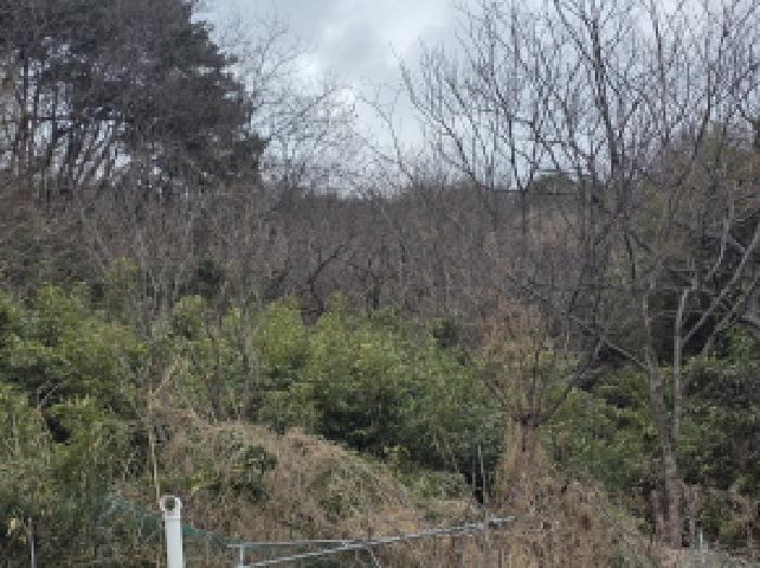 경상북도 성주군 수륜면 성리 264-3 전 경매 사진 5