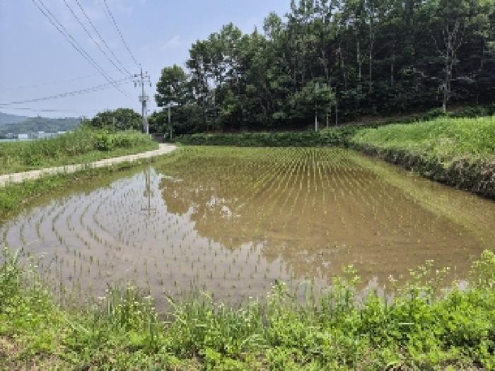 전라남도 곡성군 목사동면 공북리 170 전 경매 사진 16