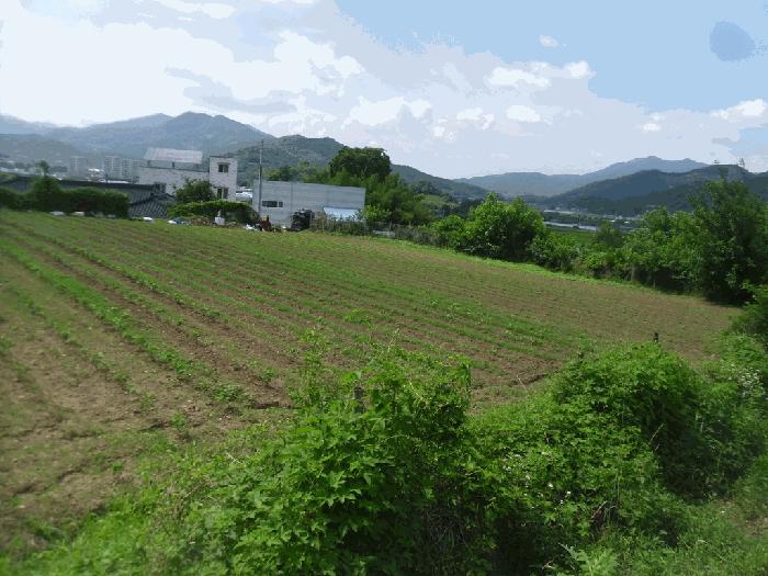 전라남도 곡성군 목사동면 공북리 627 답 경매 사진 12