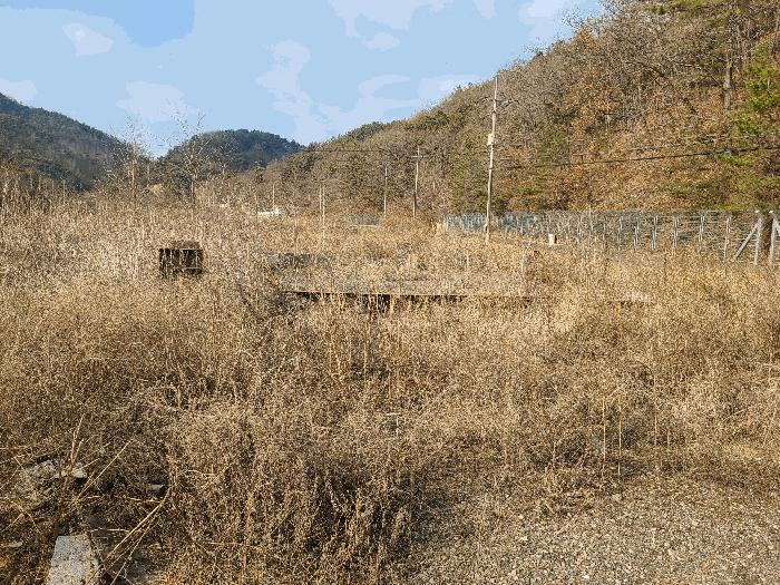 경상남도 함안군 산인면 입곡리 1044 답 경매 사진 5