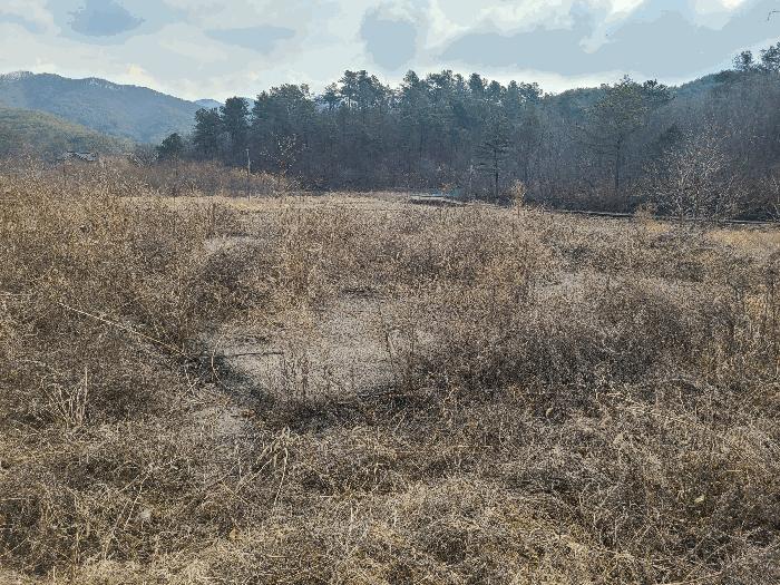 경상남도 함안군 산인면 입곡리 1046 답 경매 사진 12