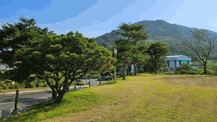 경상남도 함안군 가야읍 묘사리 848 근린상가 경매 사진 8