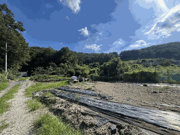 경상남도 함안군 대산면 옥렬리 1009-3 답 경매 사진 5