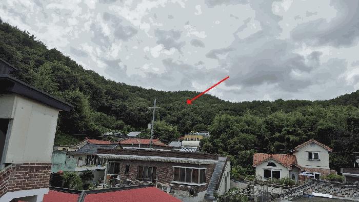 경상남도 창원시 마산합포구 진동면 사동리 산9 임야 경매 사진 1