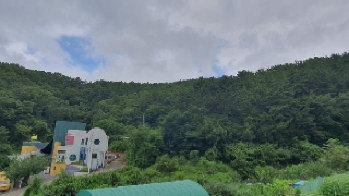 경상남도 창원시 마산합포구 진동면 사동리 산9 임야 경매 사진 6