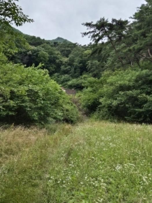 전라남도 담양군 용면 월계리 149-14 숙박시설 경매 사진 40